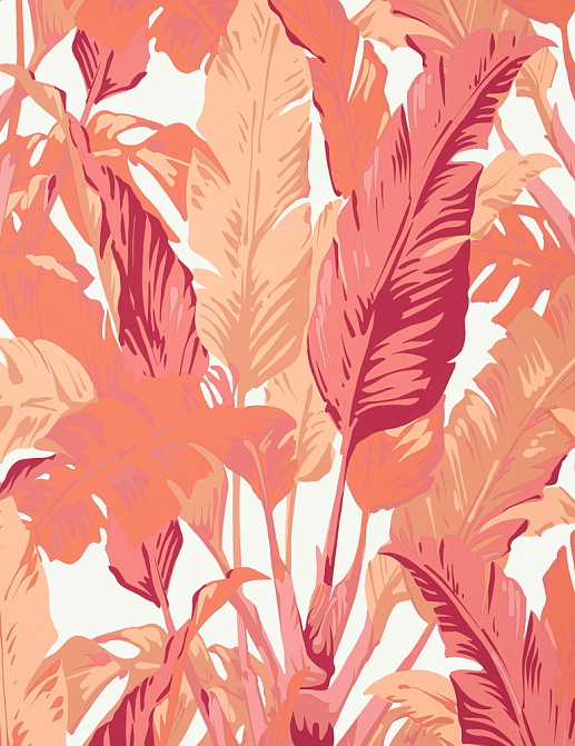 Обои Thibaut Tropics T10130