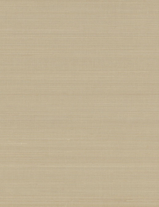 Обои York Ronald Redding Grasscloth & Natural Resource GL0501GV