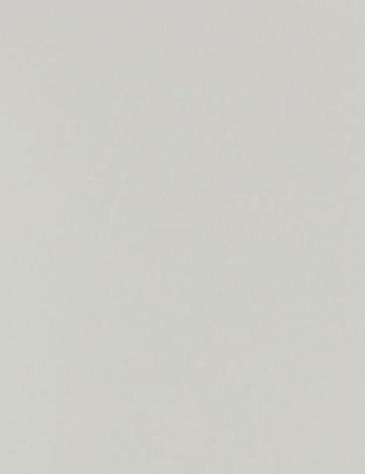 Обои Caselio Black & White BTW20690106