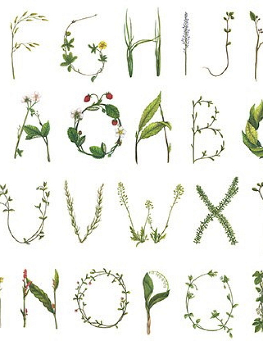 Панно и фотообои Rebel Walls No 11 Bouquet R13195