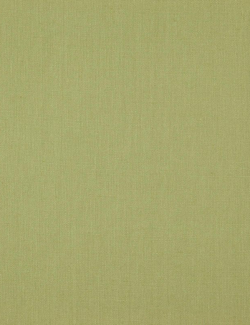 Ткань Daylight Canvas Canvas/Lizard
