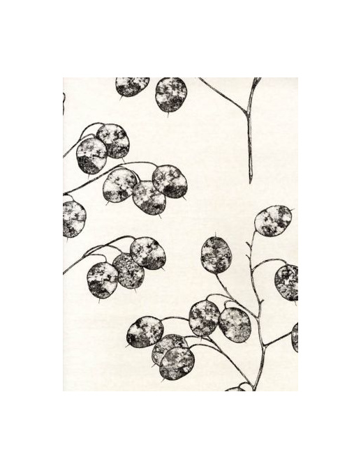 Обои Sanderson Parchment Flowers DPFWHO101