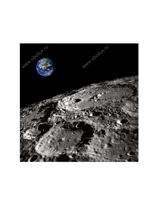 Панно и фотообои A. S. Creation XXL 0301-7