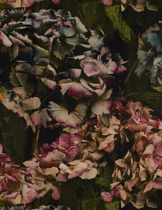 Ткань Zoffany Darnley 322661