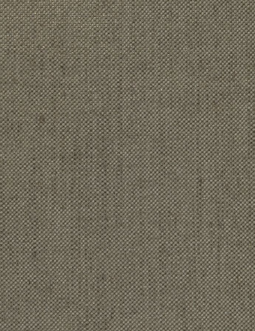 Ткань Designers Guild Tsuga F1506/08