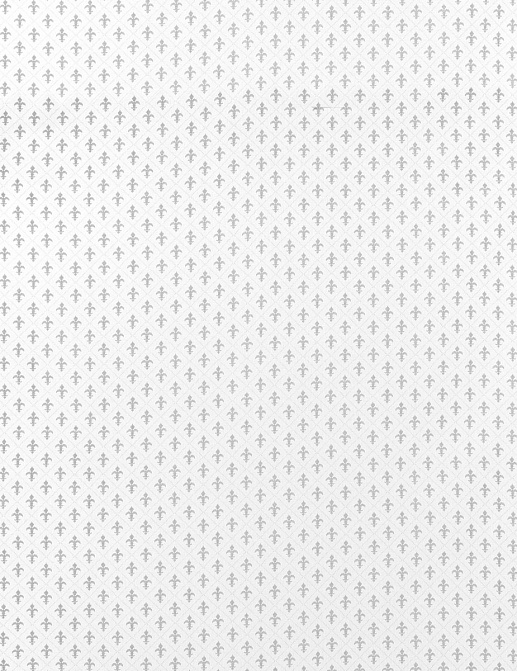 Ткань Anna French Cornucopia Cotton Lace AF00828