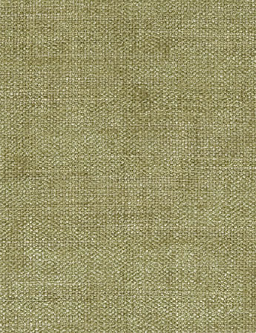 Ткань Designers Guild Bilbao F1560/05