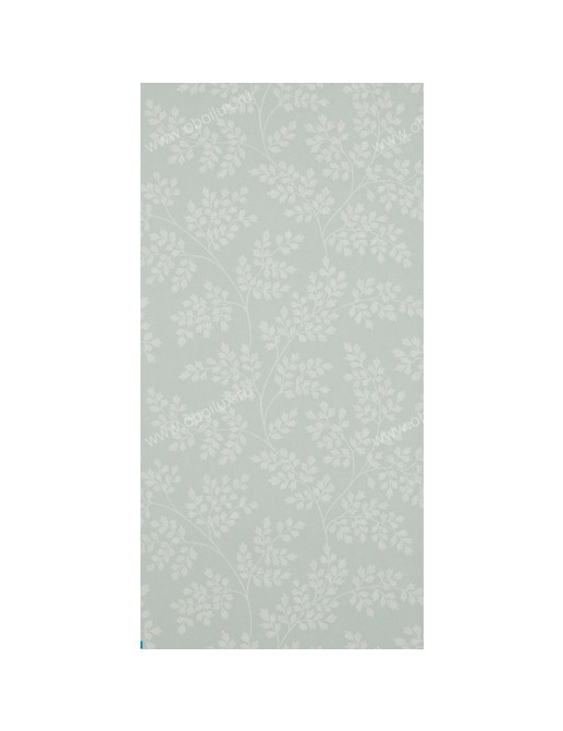 Обои Sanderson Caverley DCAVCO101