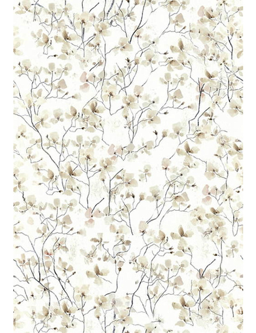 Обои Wall & Deco Elements TSRA029