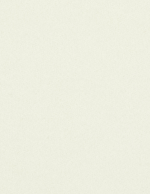 Ткань Loro Piana I Cashmere A3699RS/14