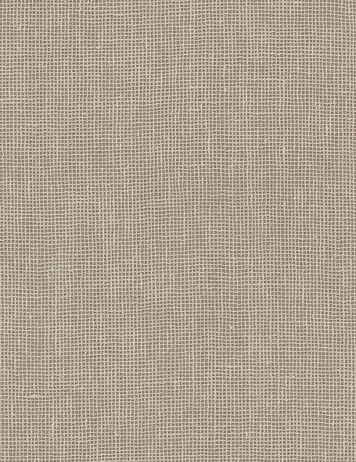 Обои Carlisle & Co Naturals LX1056