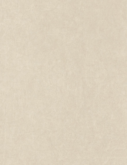 Обои Casadeco So White 4 SWHT84071202