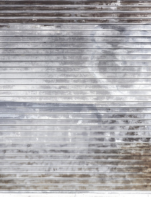 Панно и фотообои Rebel Walls No 7 Curious R14231