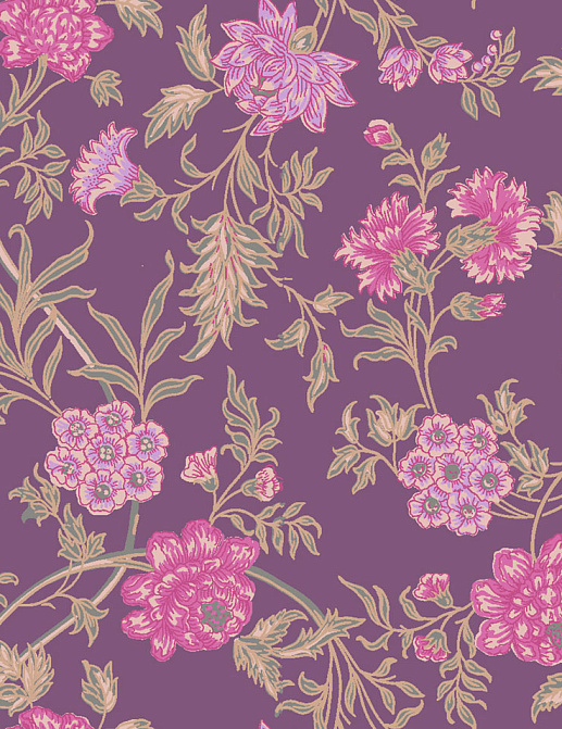 Обои Cole & Son Collection of Flowers 81/15066