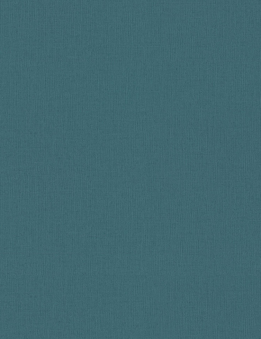 Обои Rasch Wall Textures XL Vol3 975611