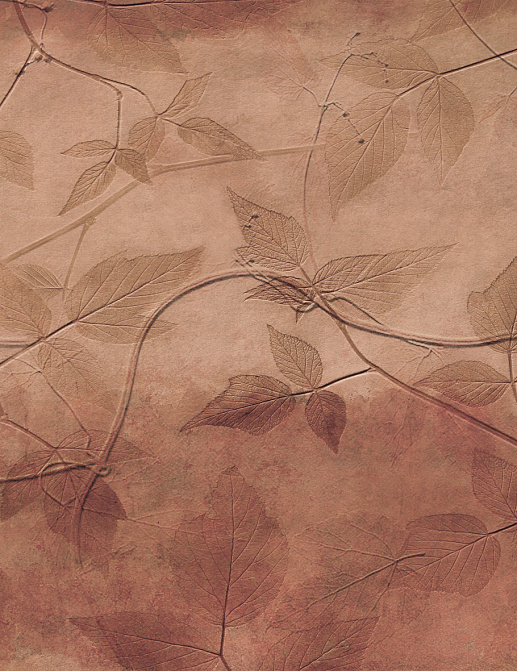 Панно и фотообои Glamora Creative Wallcovering GLNF103A