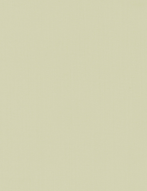 Ткань Espocada Sheers 2421/53