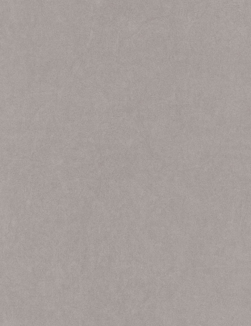 Обои Casadeco Cotton Touch COTO82381505