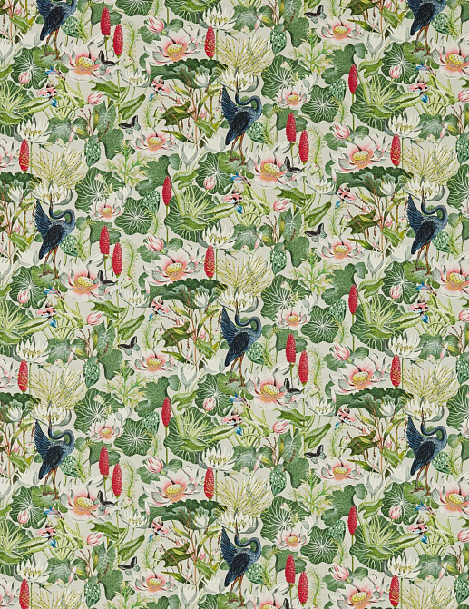 Ткань Clarke & Clarke Botanical Wonders F1605/01