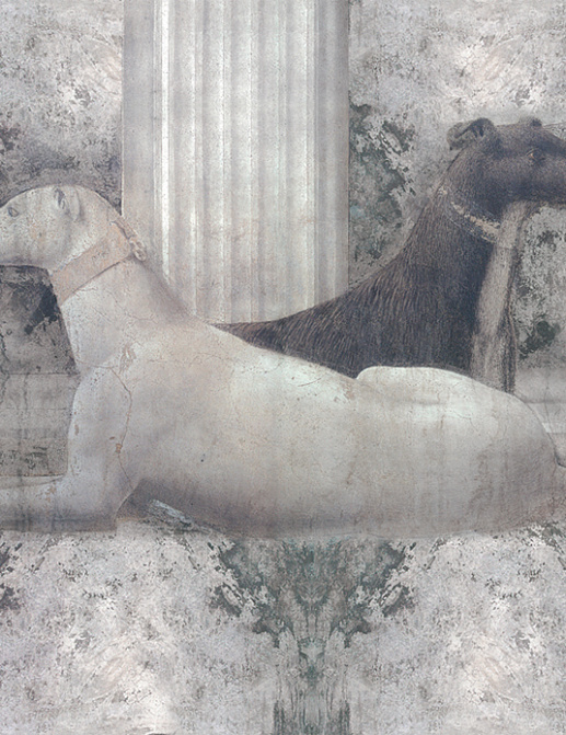 Панно и фотообои Skinwall Fragments of the Past Collection 505