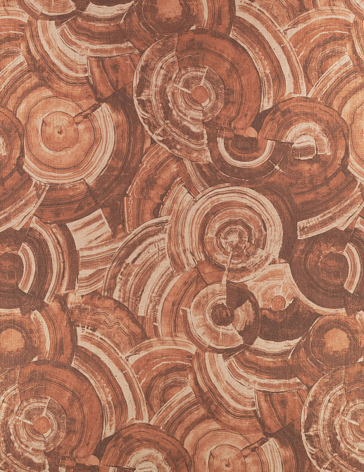 Ткань Zinc Superstars Z763/02