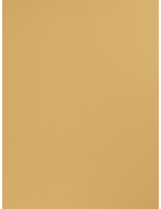 Ткань Trend Multipurpose Sleek Satin Vol.II 02022/Gold