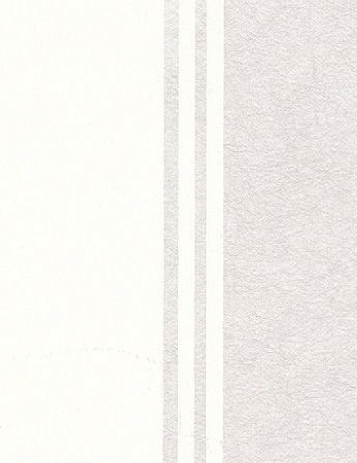Обои Eijffinger Stripes Only 372121
