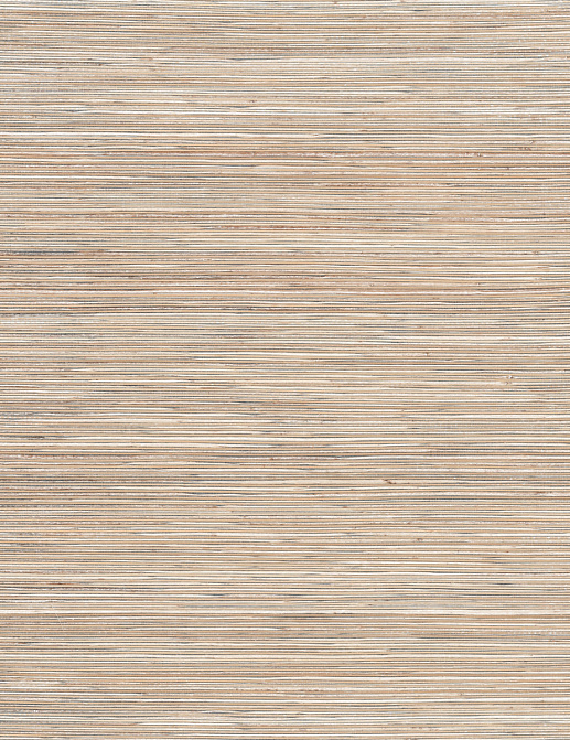 Обои York Natural Discovery (Candice Olson) NT6103