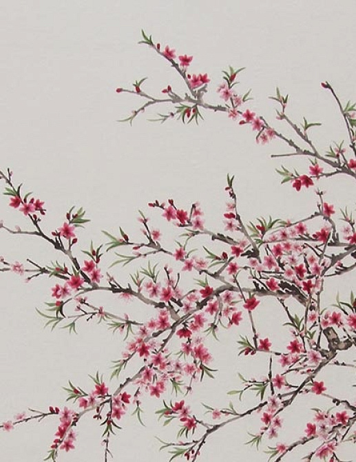 Панно и фотообои Misha Asia Spring Blossoms