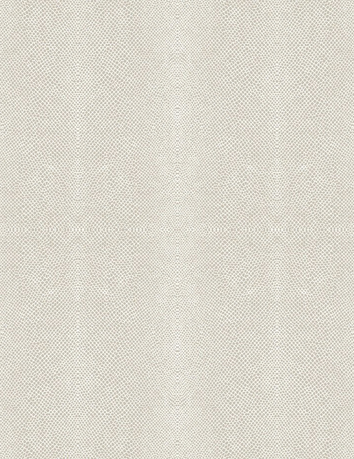 Обои KT-Exclusive Animalier AN624