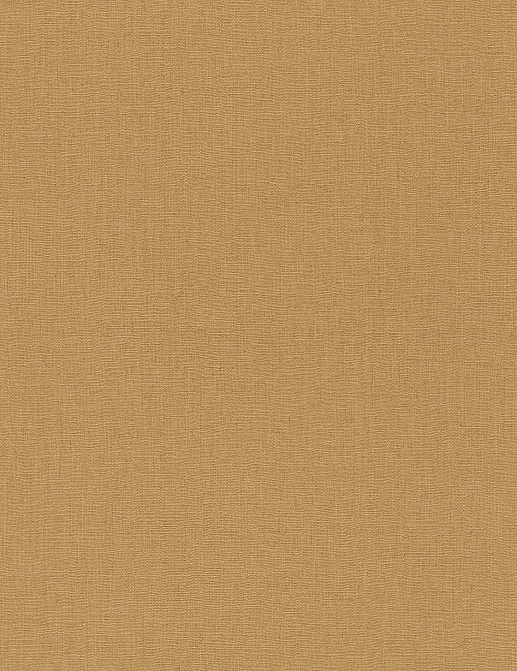 Обои Rasch Barbara Home Collection III 560176