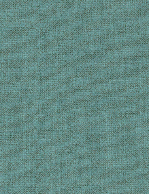 Обои Texdecor Acoustic Vinyl Wallcoverings INEN91610468