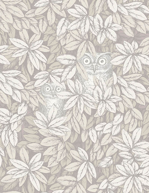 Обои Cole & Son Fornasetti Senza Tempo II 123/11052