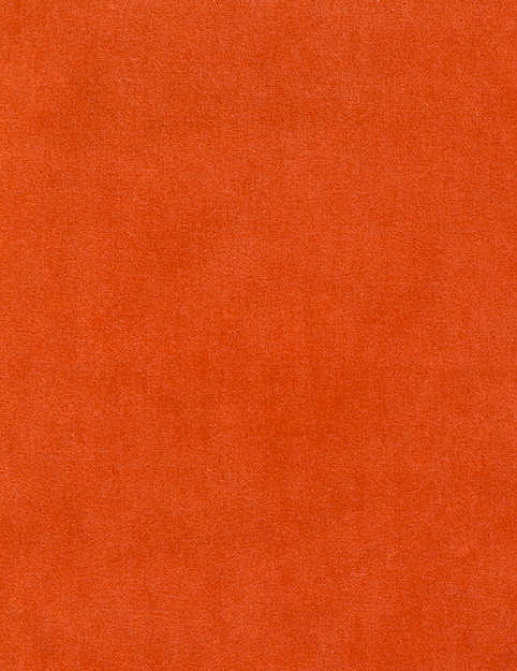 Ткань Bart Halpern Velveteen 18100-11