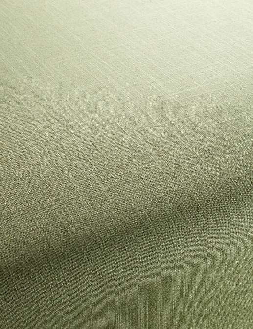 Ткань Chivasso Carlucci di Chivasso Two-Tone vol.2 CA7655/037