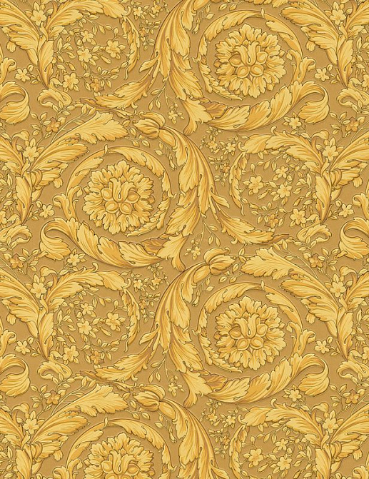 Обои A. S. Creation Versace Home 93583-3