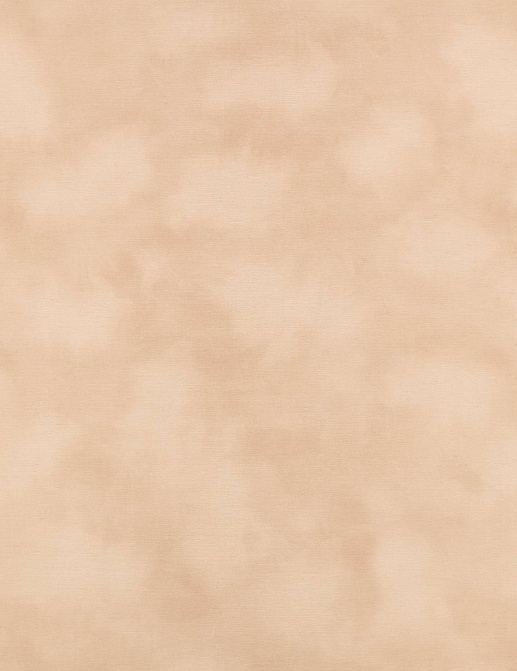 Обои Kirkby Design Wallcoverings vol.1 WK818/04