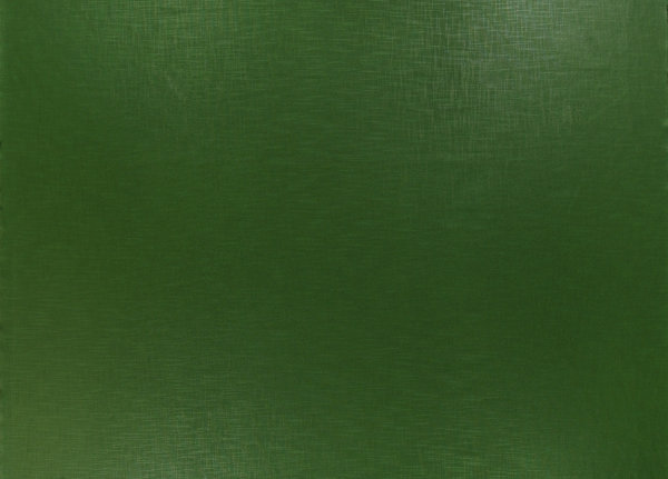Ткань Designers Guild Molveno FT1333/06