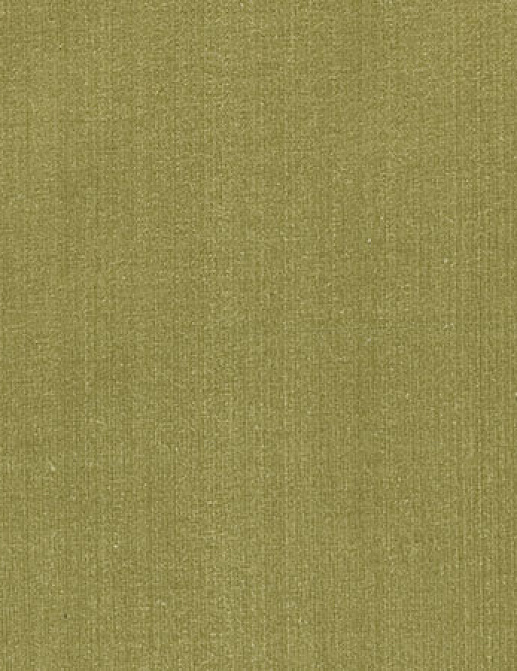 Ткань Designers Guild Naturally 2 F1166/21