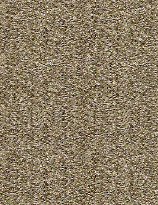 Обои A. S. Creation Speranza 95615-1