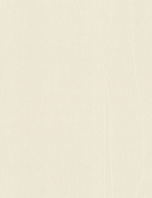 Обои Rasch Wall Textures XL Vol3 960754