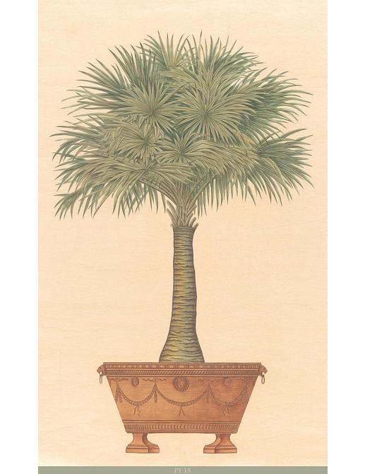 Панно и фотообои Iksel Scenic & Architectural Wallpapers Potted Palms PT15