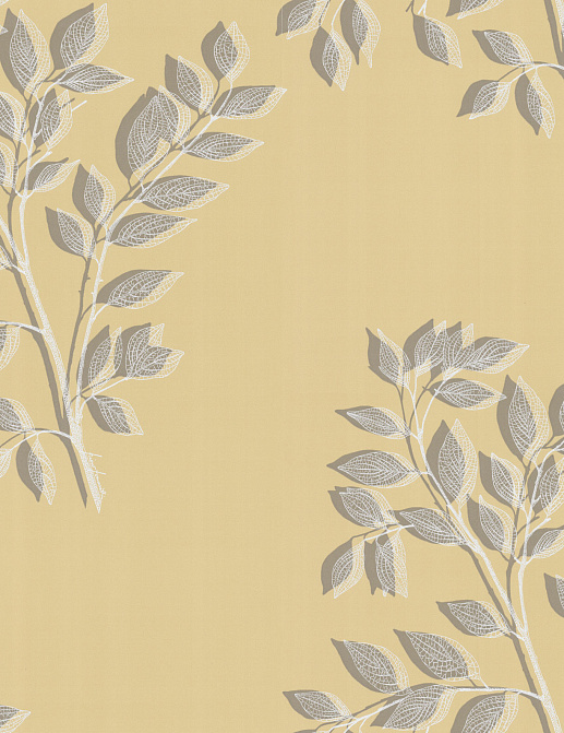 Обои Cole & Son Fornasetti 77/13050