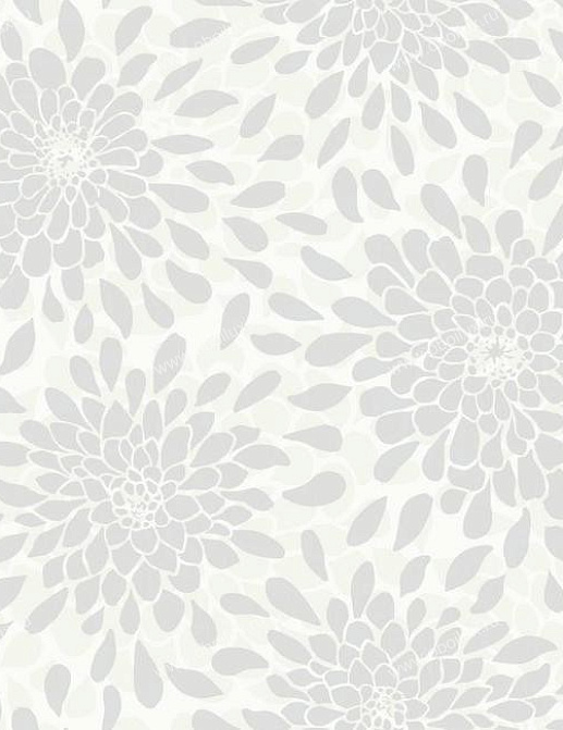 Обои Fresco Cool Kids KS2395