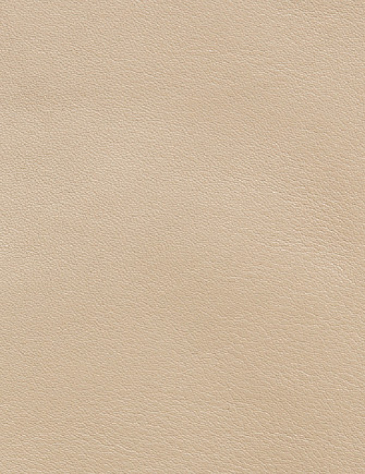 Ткань Holly Hunt Holly Hunt Leather 9376/21