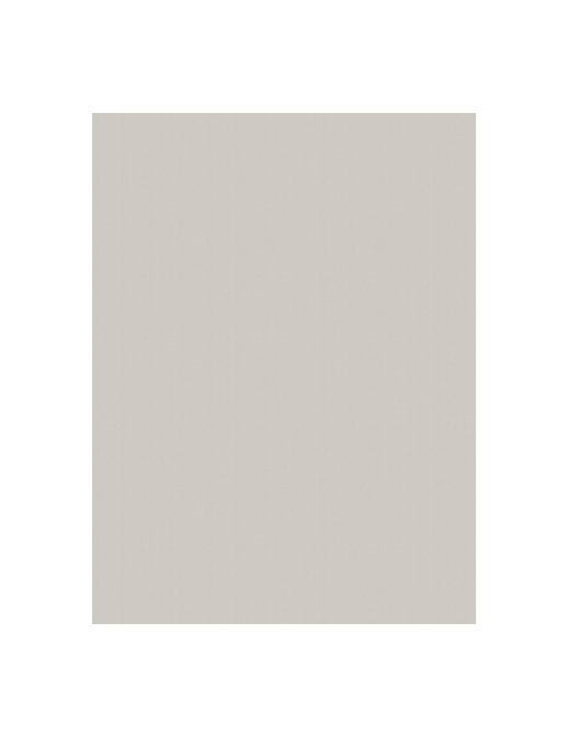 Ткань Fabricut Chromatics Vol.XXIII Zinc Rumali/Vapor