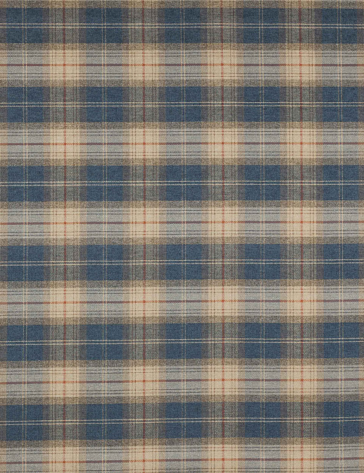Ткань Colefax and Fowler Magnus Checks F4720/01
