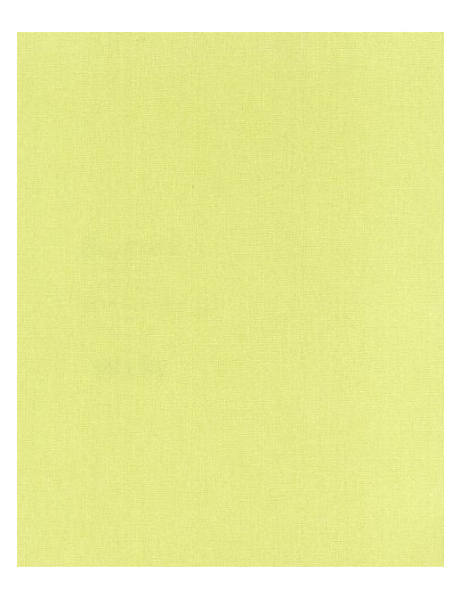 Обои Caselio Butterfly BTY 6011-70-53
