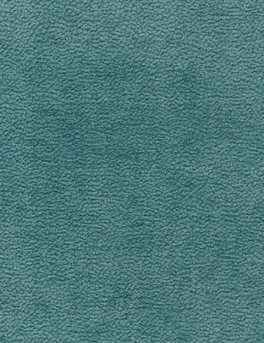 Ткань Nina Campbell Brodie Weaves NCF4143-03