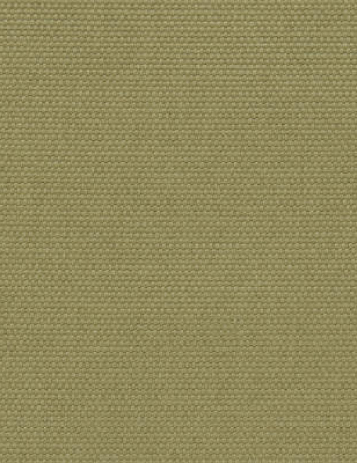 Ткань Designers Guild Salso F1796/10